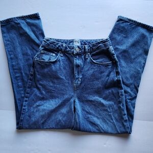 Urban Outfitters BDG High Rise Baggy Jeans. Size 29